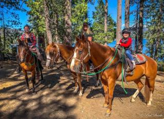 Elderberry Bluejay Location Goals Tub Time - 7
