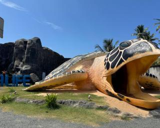 The Coppers Glamping Pod Villa with Pool - 3