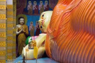 The Coppers Glamping Pod Villa with Pool - 2