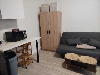 Cozy studio - Saint-Max - 5