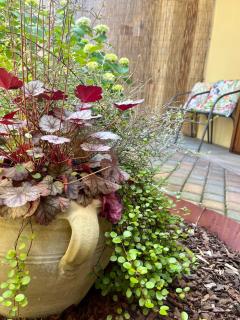 30&Lode, Mini in zona tranquilla - 8