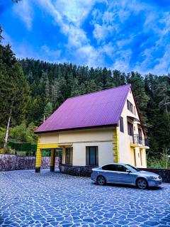 Hidden Forest Cottage - 0