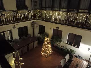 Old Prague House - 6