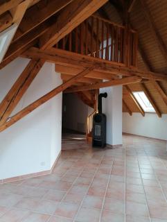 Maison Seeland-ruhig-Natur-Bern-Murten-Neuenburg - 9