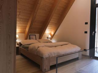 Caban Mountain Home - Aosta - 1