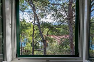 Apartments Jase - 9