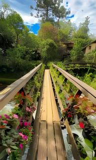 Refúgio com Cachoeira e Jacuzza - 2