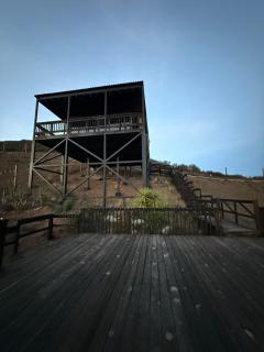 Me Alegras la Vida - 4