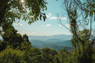 Cabana nas montanhas em Campos do Jordão - 1