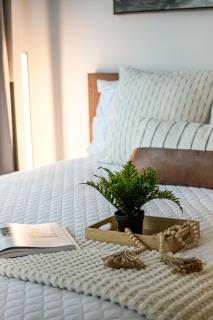 The Snug 1plus1 Suite with Free Parking - 2