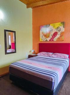 Raíces Cataratas - 1