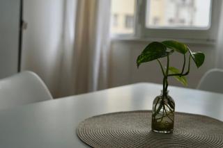 Playa, Casino y Güemes a metros, Tu estadía ideal - 8