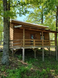 Dream of a log cabin - 3