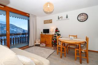 Loft Maëlia 33m2 chaleureux vue sur pistes - 0