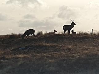 Loch Erisort House - 1