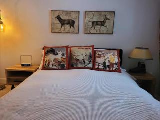 Mountain Escape Ski-In Ski-Out Laurentians - 2