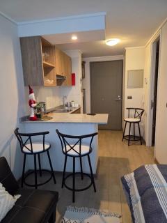 Depa Stgo a pasos de La Teletón - 0