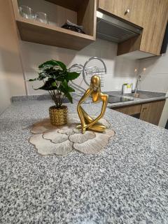 Depa Stgo a pasos de La Teletón - 8