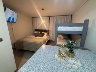 Depa Stgo a pasos de La Teletón - 3