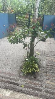 Espaço Pé de Cacau Camburi São Sebastião - 2