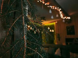 Hide Hub Guest Apart - 8