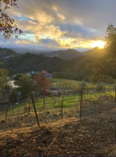 Old Toll Road Inn - 0