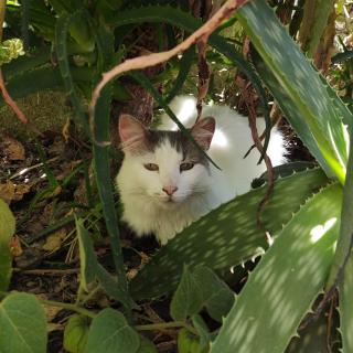Habitación en casa palmera Valparaiso - 2