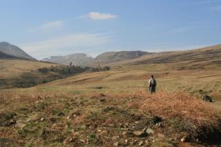 Cosy cottage for two in the highlands - 3
