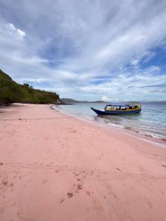 Modo homestay - Komodo - 9
