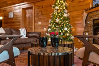 Charming Cabin With Mt Leconte Views & Game Room - 1