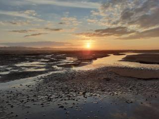Cosy Christmas Cottage by the Quay - 4
