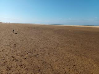 Cosy Christmas Cottage by the Quay - 3