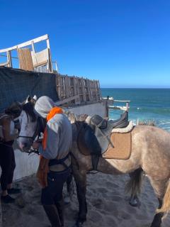 TAMRI BEACH HOUSE - 8