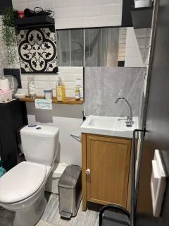 Maison sur Jardin Piscine avec vue sur Oranger et Olivier - Launaguet - 8