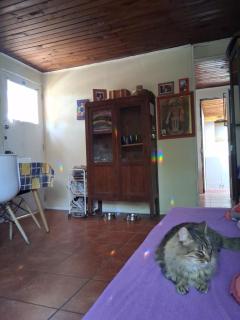 Casita acogedora en Ñuñoa - 4