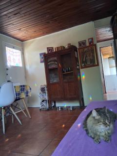 Casita acogedora en Ñuñoa - 8