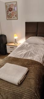 Drzewna Apartamenty-Wojska Polskiego - Zielona Góra - 2