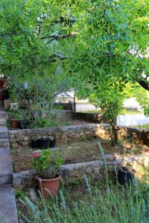 Apartments with parking space Okrug Gornji, Ciovo - 1107 - Trogir (Traù) - 1