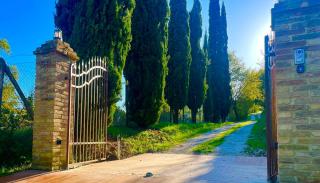 Villa Vindelbono - 8