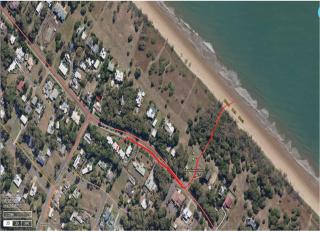 Pandanus By the Beach - 0