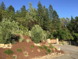 Old Toll Road Inn - 9