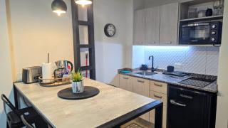 STUDIO EN EL CENTRO, 3 cuadras del centro cívico - 6