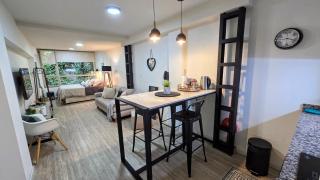 STUDIO EN EL CENTRO, 3 cuadras del centro cívico - 5