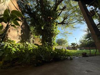 La Mandrágora - Casa Quinta - 8