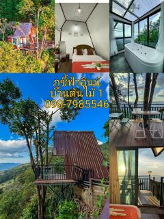 ภูชี้ฟ้าอินน์ รีสอร์ท Phucheefainn Resort - Ban Seng Choi - 7