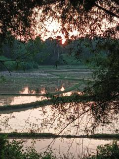 stay at gaya3farms - 5