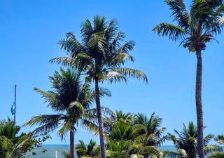 Itacimirim Vilage 8 pessoas - 7