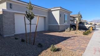 Peaceful Retreat - Mt Charleston & The Strip - 7