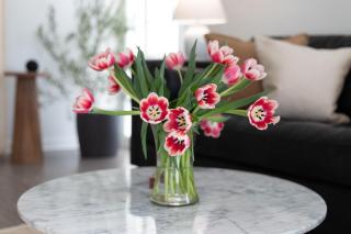 King Bed, Gym, Hot Tub, Parking - 3