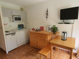 Studio confortable avec accès pistes, navette et parking. Pour 4 pers. - FR-1-358-139 - 0